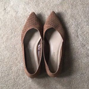 Pointed Toe Flats
